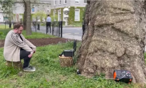 Tree talks to people in Dublin, the capital of Ireland Tree talks to people in Dublin, the capital of Ireland