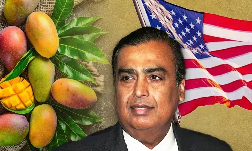Mukesh Ambani: బంజరు భూమిని పచ్చగా మార్చి.. అమెరికాకు అత్యధిక మామిడి పండ్లను అమ్ముతున్న అంబానీ..!
