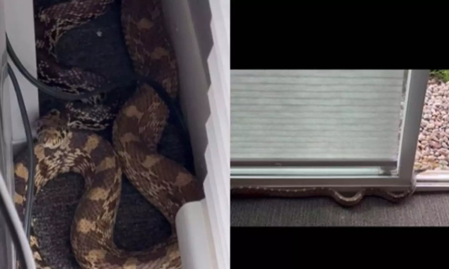 Viral Video Viral Video