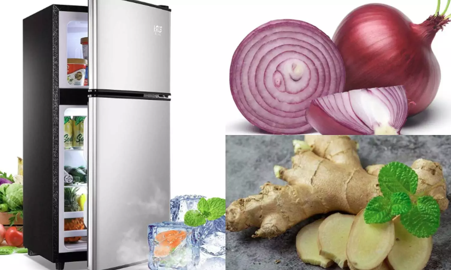 Health Tips: ఈ 4 వస్తువులను రిఫ్రిజిరేటర్లో అస్సలు ఉంచకండి.. వాటిని తింటే రోగాల పాలే Health Tips: ఈ 4 వస్తువులను రిఫ్రిజిరేటర్లో అస్సలు ఉంచకండి.. వాటిని తింటే రోగాల పాలే