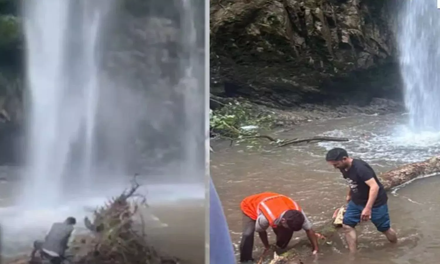 Dehradun Tiger Waterfalls Tree Falls Two Tourists Dead Dehradun Tiger Waterfalls Tree Falls Two Tourists Dead