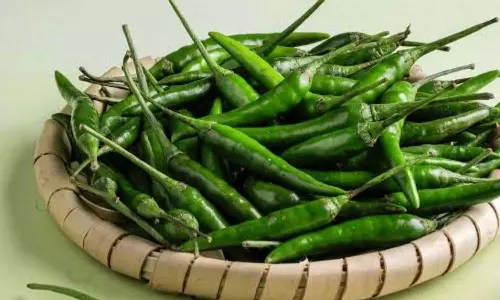 Green Chillies Green Chillies