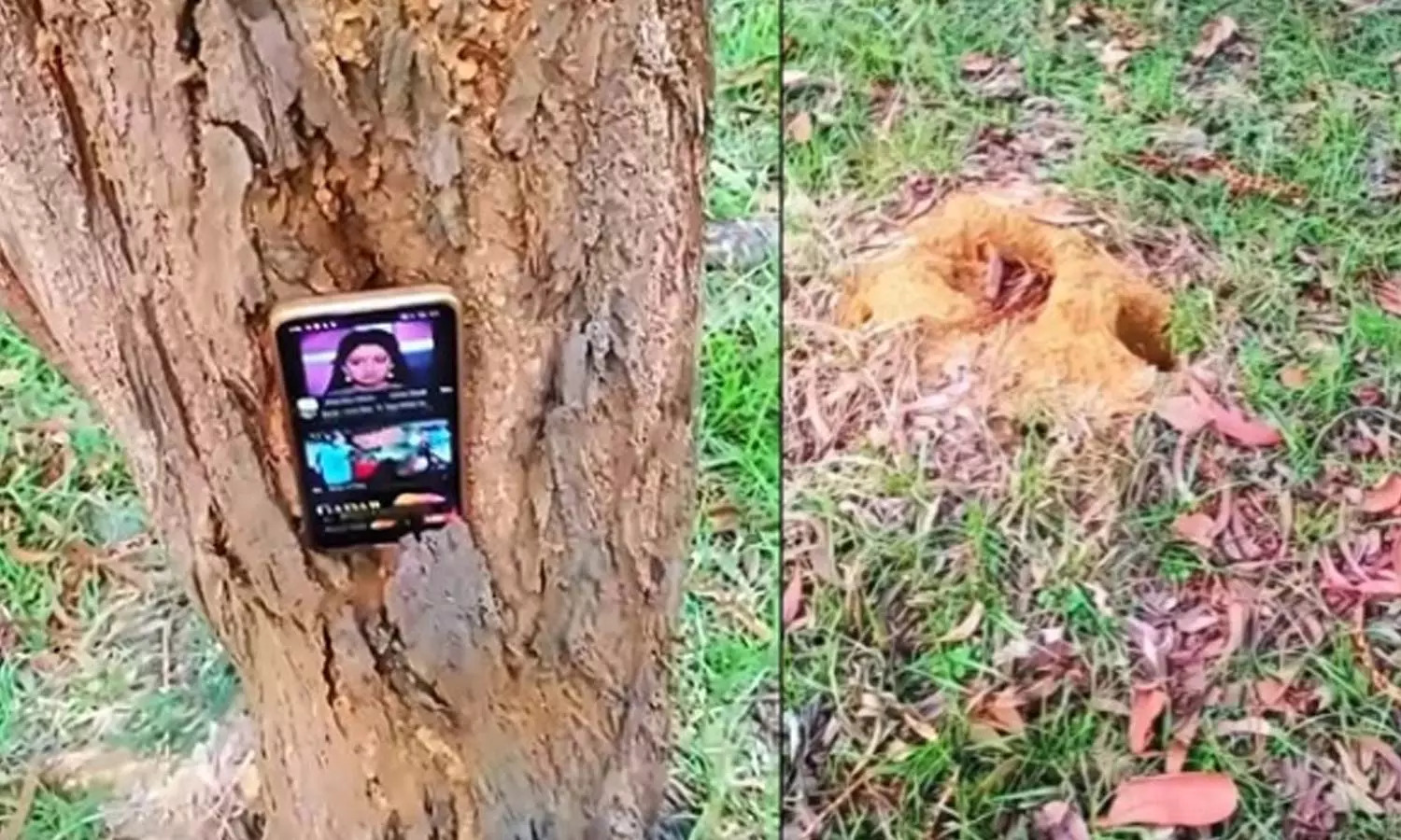 Viral Video Viral Video