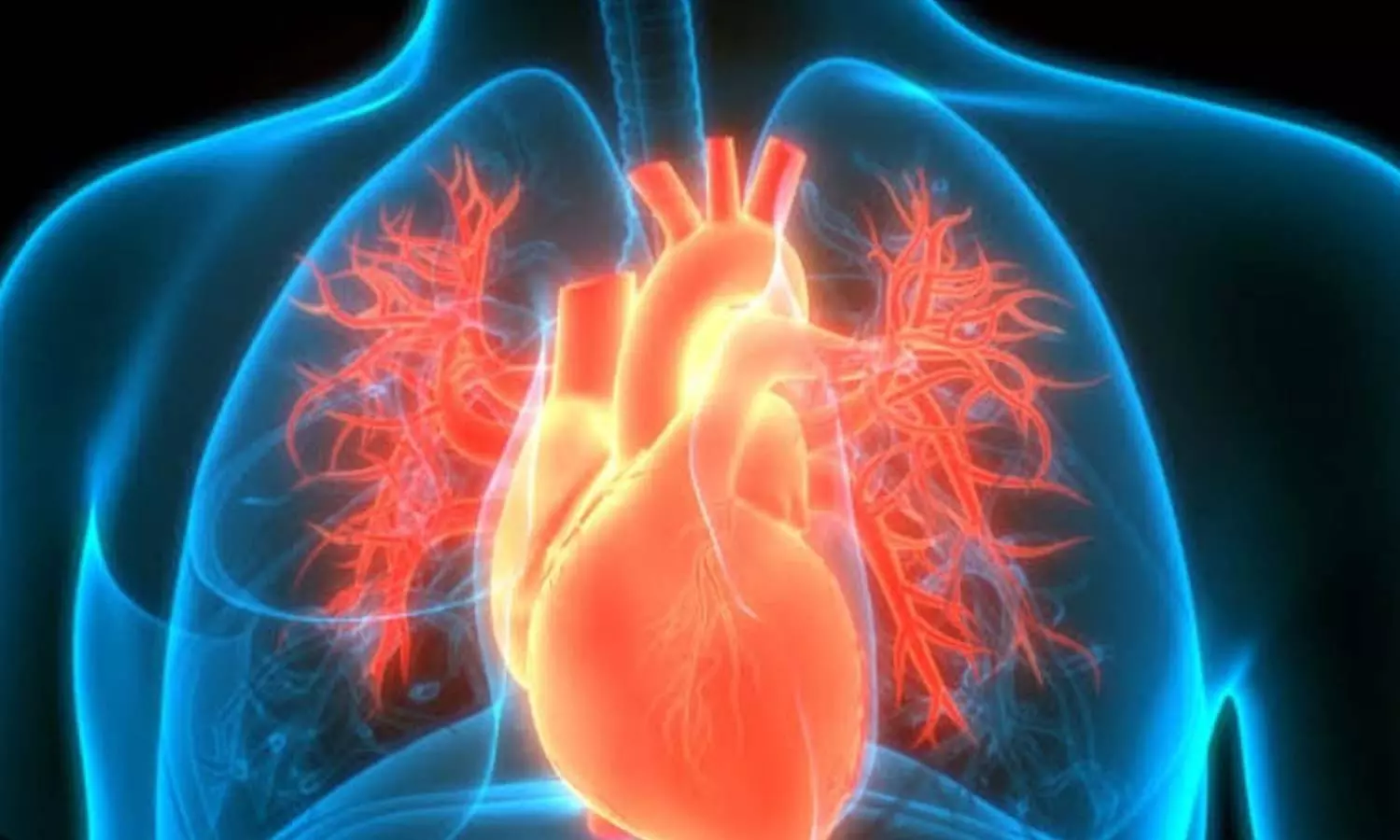 Food Items that are benefits for heart Food Items that are benefits for heart