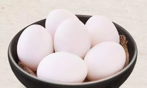 Eggs Eggs