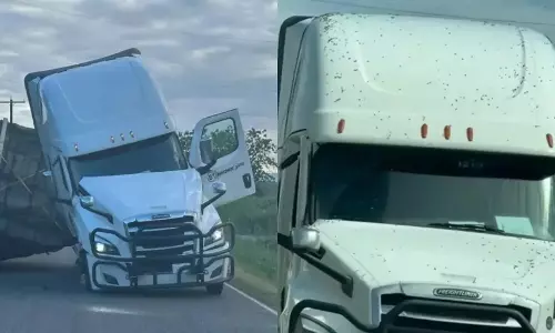 A truck carrying millions of bees overturned in America  officials issued a warning to the public