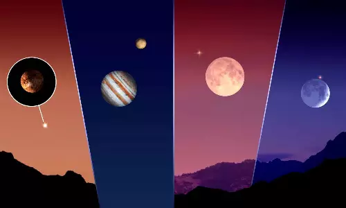 Strawberry Moon to Butterfly stars Strawberry Moon to Butterfly stars