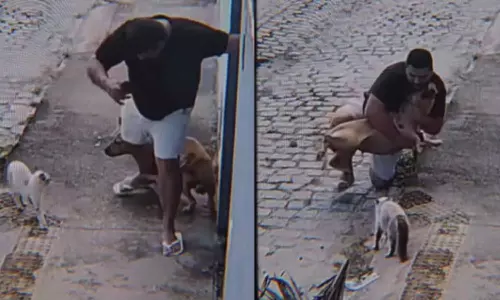 Viral Video Viral Video