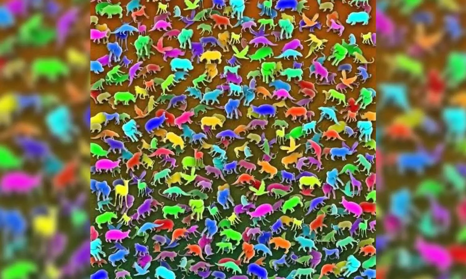 Optical Illusion Optical Illusion