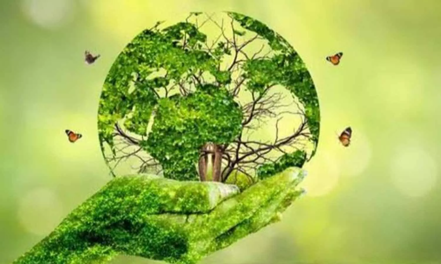 Extreme Drop in Oxygen story