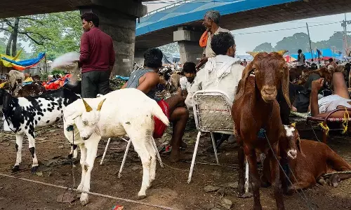 Bakrid 2025 Bakrid 2025