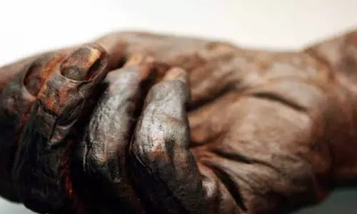 Nails And Hair Nails And Hair