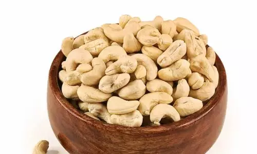 Cashew Nut Cashew Nut