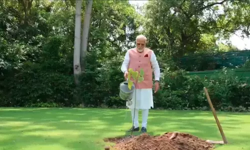 Prime Minister Modi plants a vermilion sapling on the occasion of World Environment Day Prime Minister Modi plants a vermilion sapling on the occasion of World Environment Day