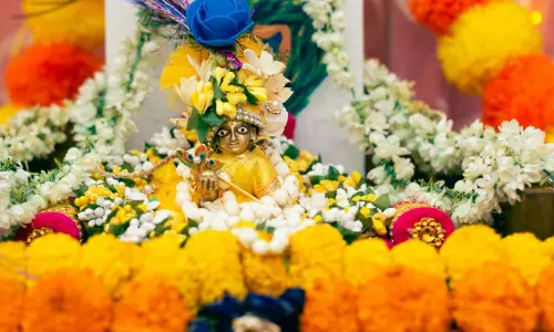 Fridge Flowers for Pooja Pandit Suggestions Fridge Flowers for Pooja Pandit Suggestions