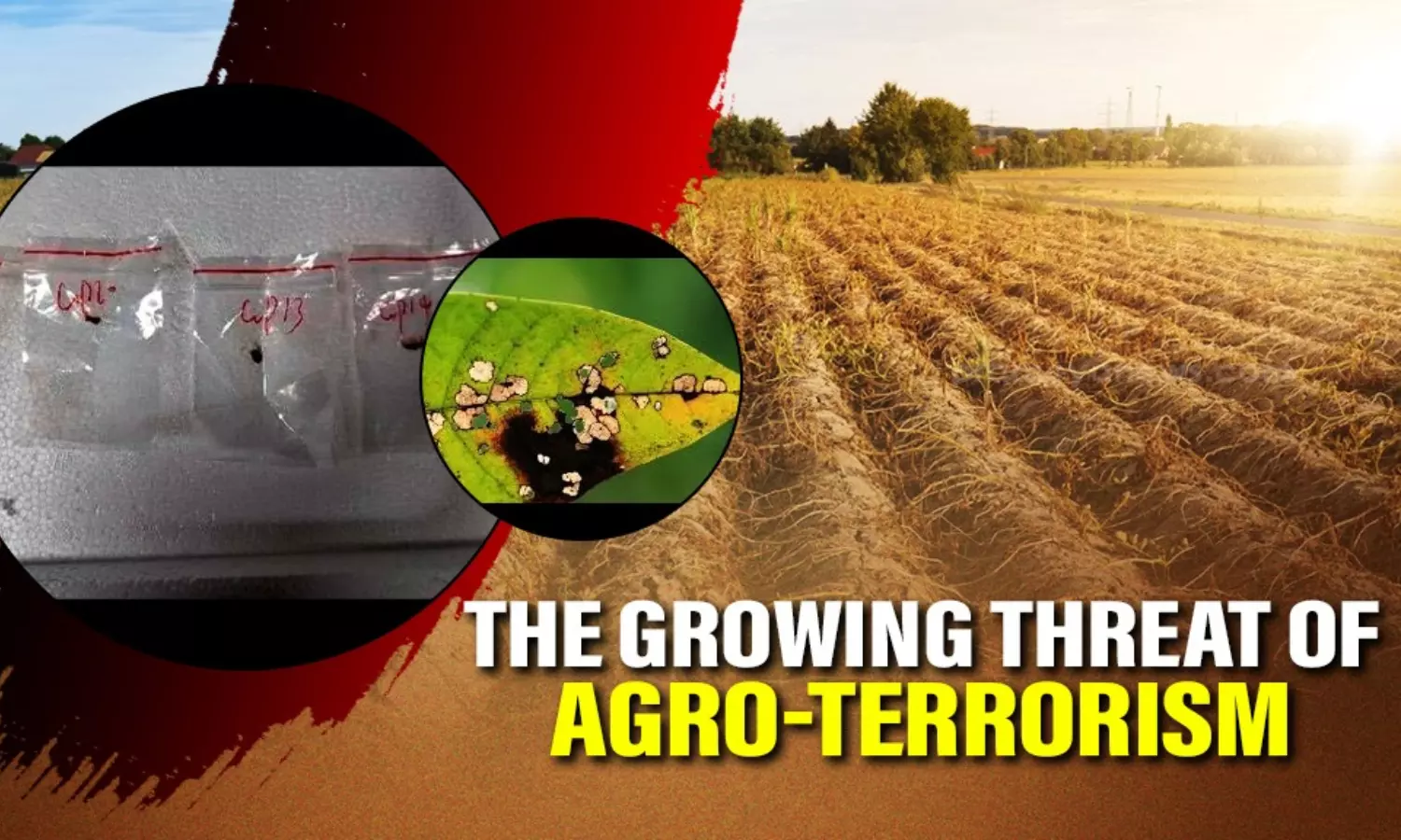 The growing threat of agricultural terrorism
