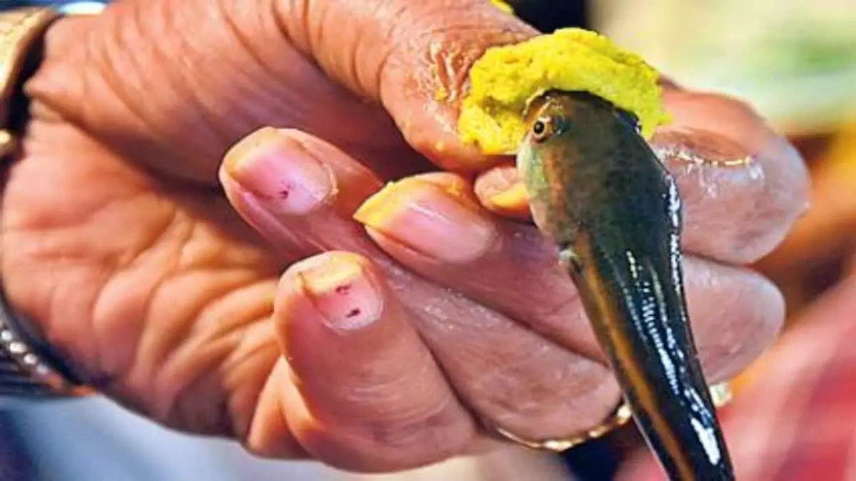 Hyderabad: మృగశిర కార్తె సందర్భంగా చేప ప్రసాదం కోసం భారీగా తరలివచ్చిన జనసందోహం