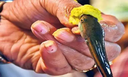 Hyderabad: మృగశిర కార్తె సందర్భంగా చేప ప్రసాదం కోసం భారీగా తరలివచ్చిన జనసందోహం