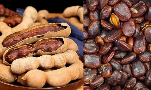 Tamarind Seed Powder Business Demand Uses and Price Hike 2025