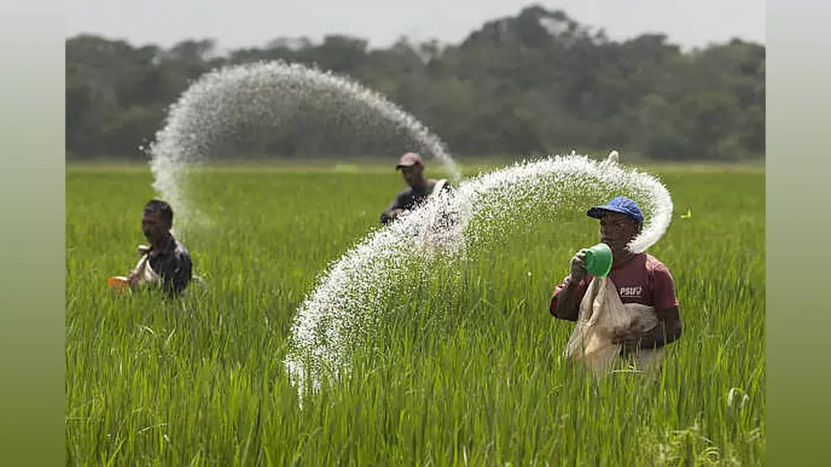 Subsidy Money: ఆయిల్పామ్ సాగుకు ప్రభుత్వం నుండి రూ.70,000 రాయితీ – ఎలా పొందాలో తెలుసుకోండి! Subsidy Money: ఆయిల్పామ్ సాగుకు ప్రభుత్వం నుండి రూ.70,000 రాయితీ – ఎలా పొందాలో తెలుసుకోండి!