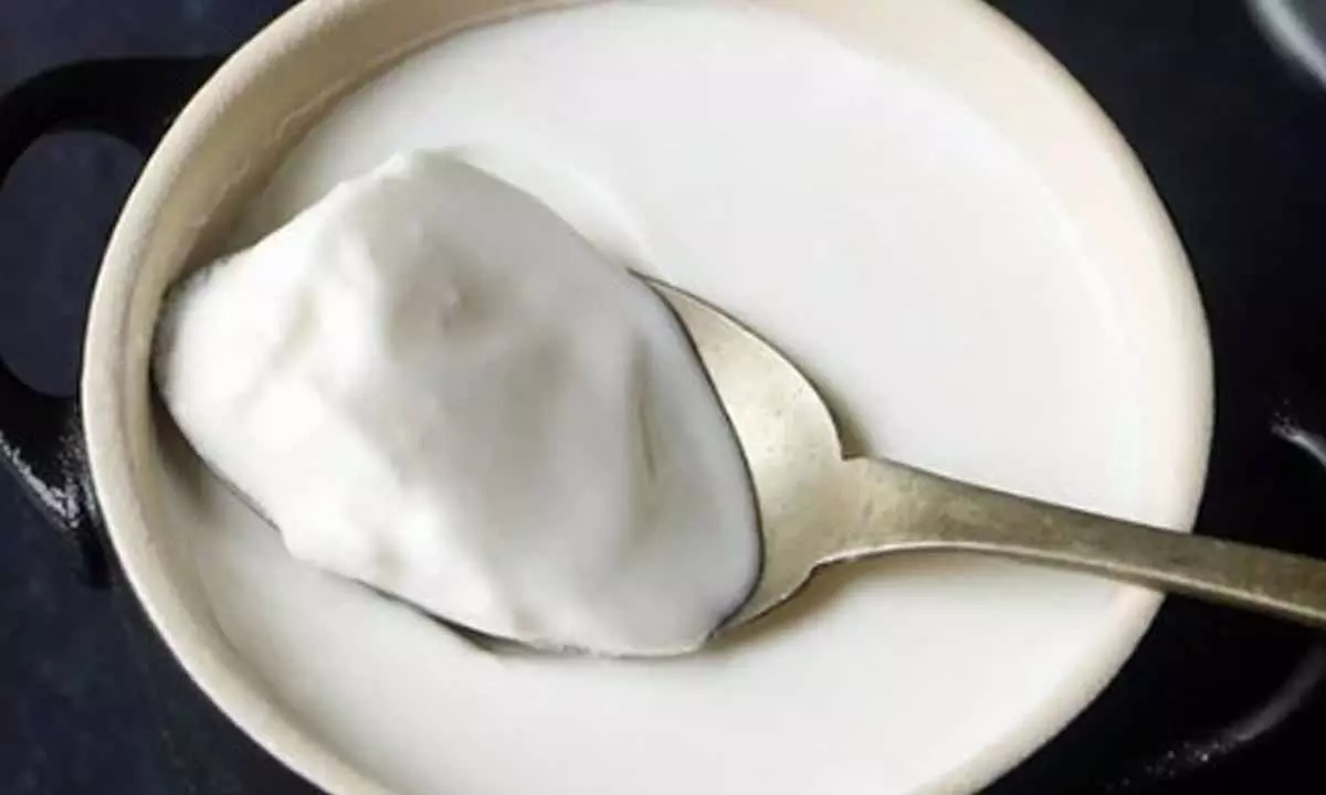 Curd Curd