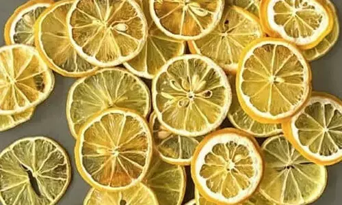 Dried Lemon Dried Lemon