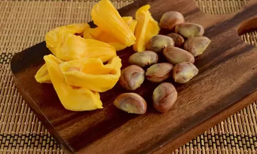 Jackfruit Seeds Benefits for Diabetes Control Jackfruit Seeds Benefits for Diabetes Control