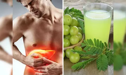 Fatty Liver Treatment With Amla Benefits Fatty Liver Treatment With Amla Benefits