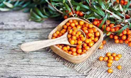Benefits of Sea Buckthorn Fruit and Oil