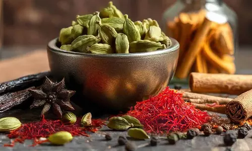 Most Expensive Spices