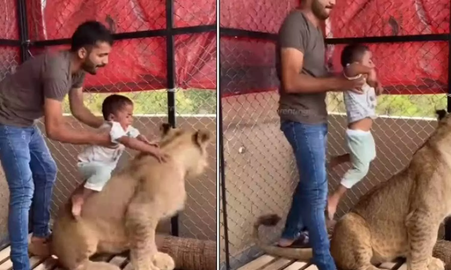 Viral Video Viral Video