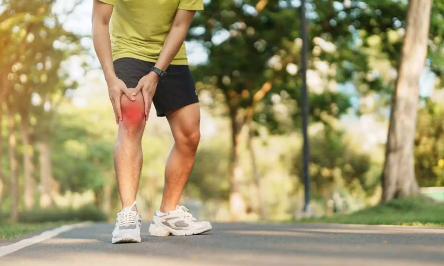 Joint Pains: నడుస్తున్నా, వ్యాయామం చేస్తున్నా కీళ్లు నొప్పిగా ఉన్నాయా? Joint Pains: నడుస్తున్నా, వ్యాయామం చేస్తున్నా కీళ్లు నొప్పిగా ఉన్నాయా?