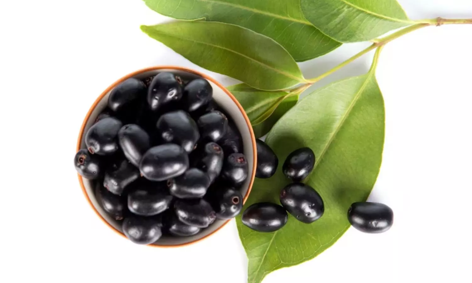 Jamun Seed Health Benefits Jamun Seed Health Benefits