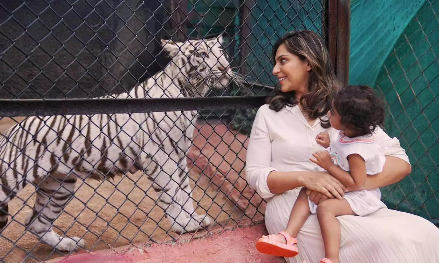 తన పేరుతో ఉన్న పులిని కలిసిన గ్లోబల్ స్టార్ రామ్ చరణ్, ఉపాసన కొణిదెల కుమార్తె క్లీంకార