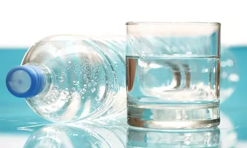 General Water vs Mineral Water: జనరల్ వాటర్ vs మినరల్ వాటర్? ఏవి బెటర్?