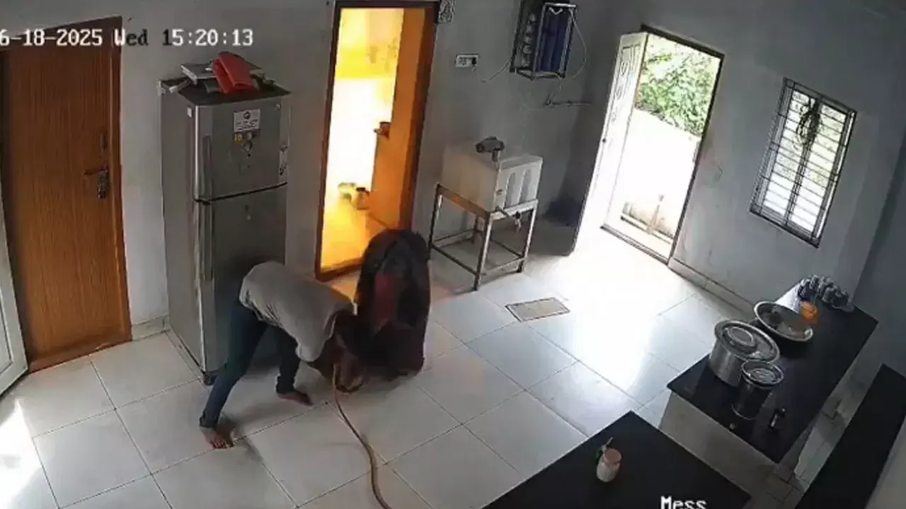 Viral Video: ఇంట్లో గ్యాస్ సిలిండర్ పేలుడు ఘటన: తృటిలో తప్పించుకున్న భార్యాభర్తలు – వైరల్గా మారిన షాకింగ్ వీడియో Viral Video: ఇంట్లో గ్యాస్ సిలిండర్ పేలుడు ఘటన: తృటిలో తప్పించుకున్న భార్యాభర్తలు – వైరల్గా మారిన షాకింగ్ వీడియో