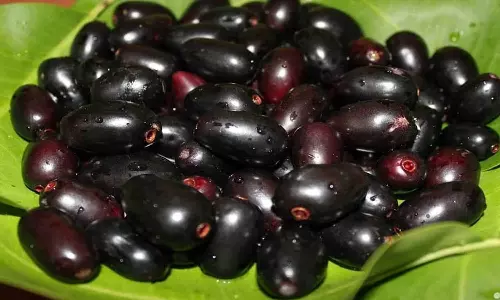 Jamun