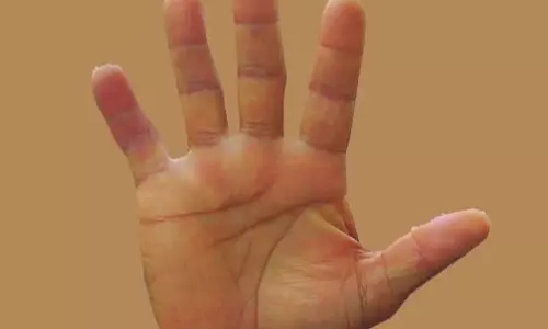 Panchabutas in Palm Panchabutas in Palm