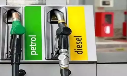 CAFE Norms : కార్ల సైజును బట్టి కొత్త రూల్స్.. కాలుష్యం కట్టడికి ప్రభుత్వం కొత్త ప్లాన్!