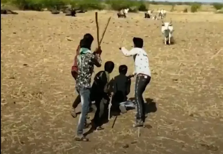 Viral Video: ఈ ఆవు విశ్వాసానికి మారు పేరు.. హార్ట్ టచింగ్ వీడియో Viral Video: ఈ ఆవు విశ్వాసానికి మారు పేరు.. హార్ట్ టచింగ్ వీడియో