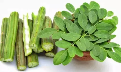 3 Dietician-Recommended Drumsticks Recipes To Keep Healthy During Monsoon