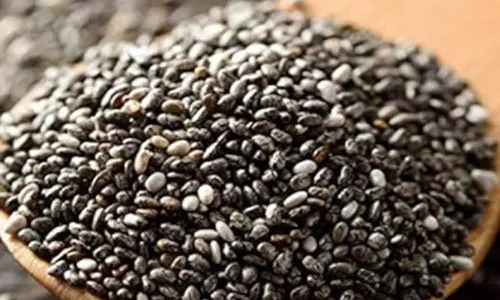 Chia Seeds Chia Seeds