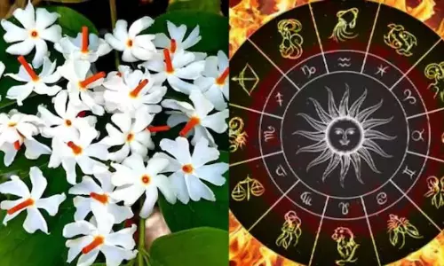 Rare Parijata Yoga After 64 Years bumper jackpot for these zodiacs Rare Parijata Yoga After 64 Years bumper jackpot for these zodiacs