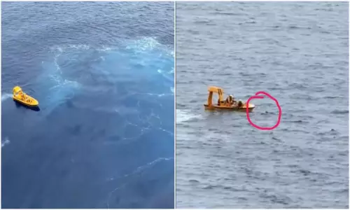 Father Saves Daughter Sea Viral Video Disney Dream