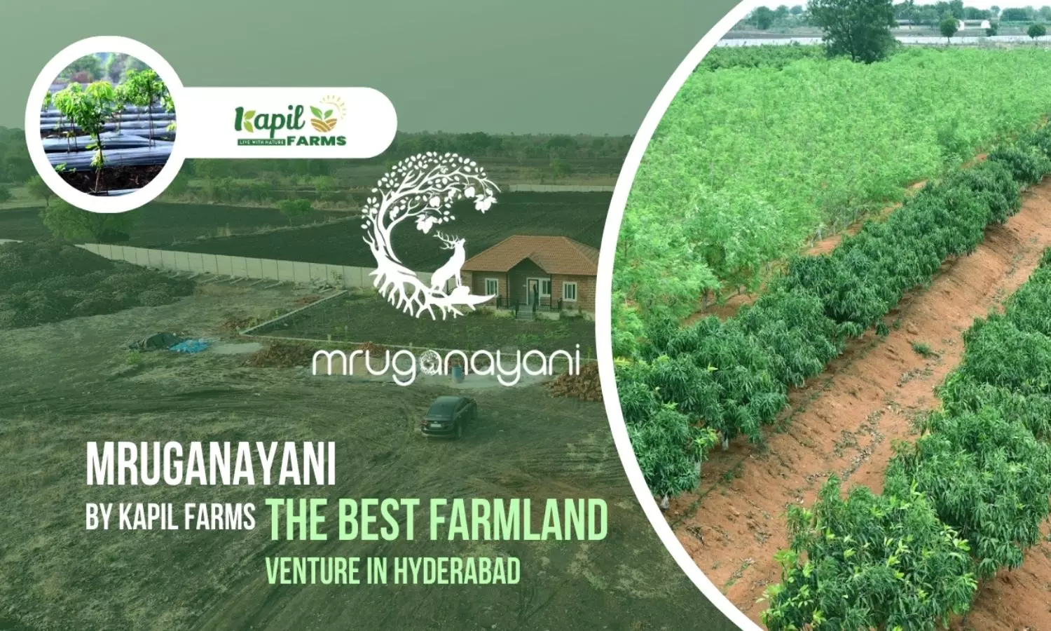 Here are Sops for Investments in Agriculture Lands Here are Sops for Investments in Agriculture Lands