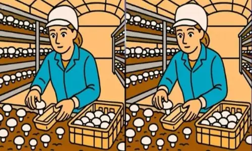 Picture Puzzle:  మీ బ్రెయిన్‌కు పరీక్ష.. ఈ ఫొటోల్లోని మూడు తేడాలను 20 సెకెన్లలో కనిపెట్టండి