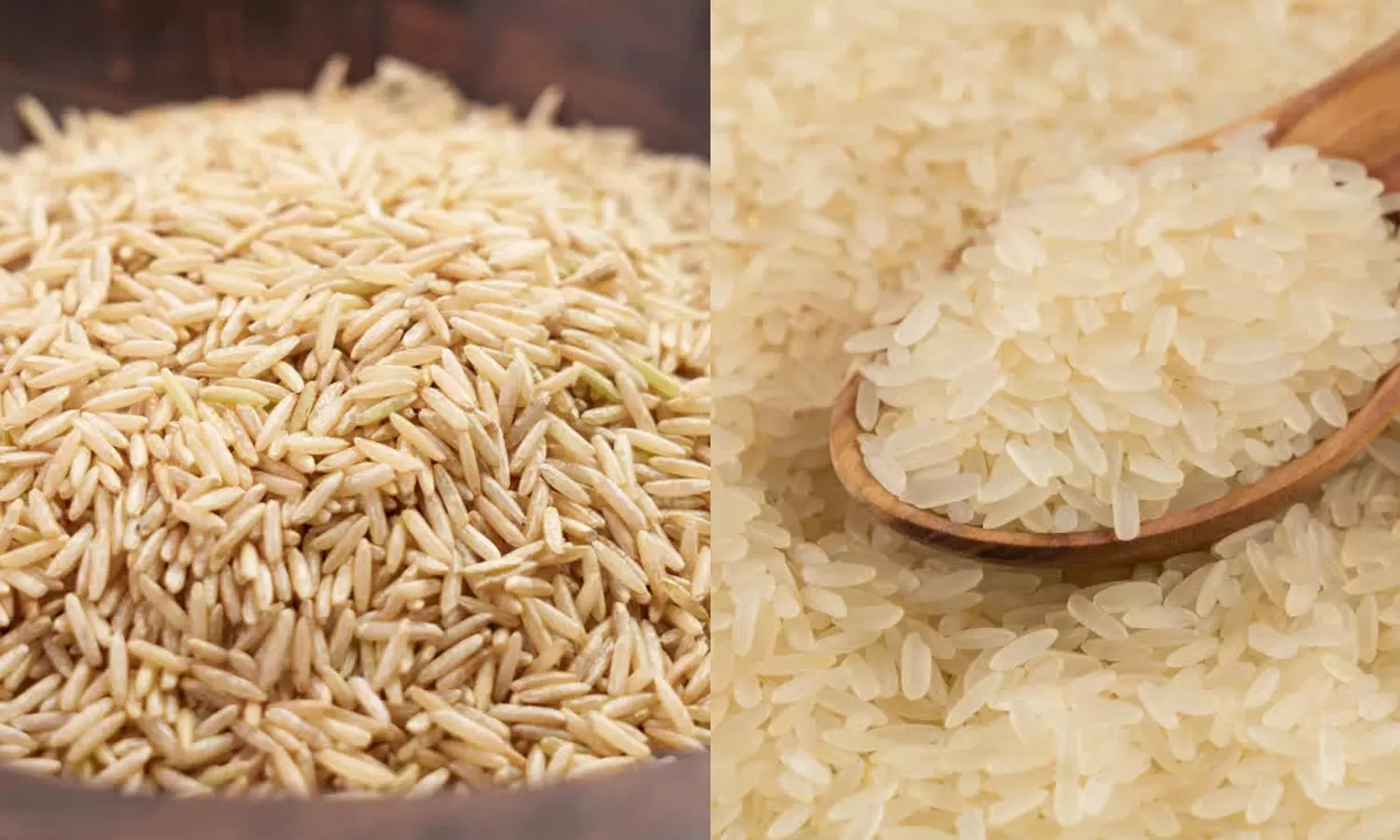 Brown Rice Vs White Rice Brown Rice Vs White Rice
