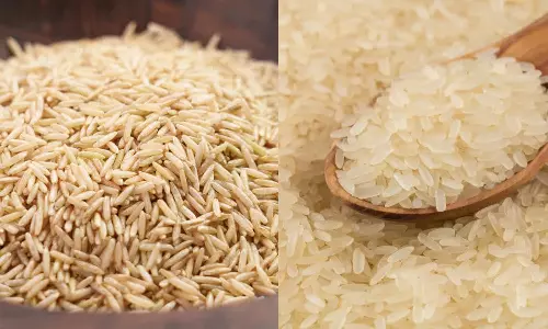 Brown Rice Vs White Rice Brown Rice Vs White Rice