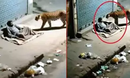 Viral Video Viral Video