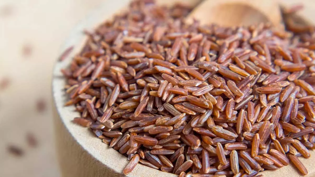 Brown Rice: బ్రౌన్ రైస్ తింటే ఆరోగ్య సమస్యలన్నీ దూరం..! Brown Rice: బ్రౌన్ రైస్ తింటే ఆరోగ్య సమస్యలన్నీ దూరం..!